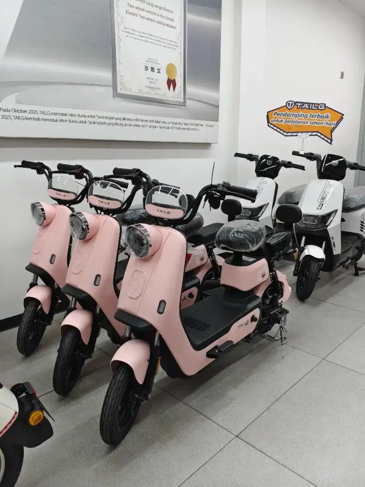 SEPEDA LISTRIK TAILG JY39