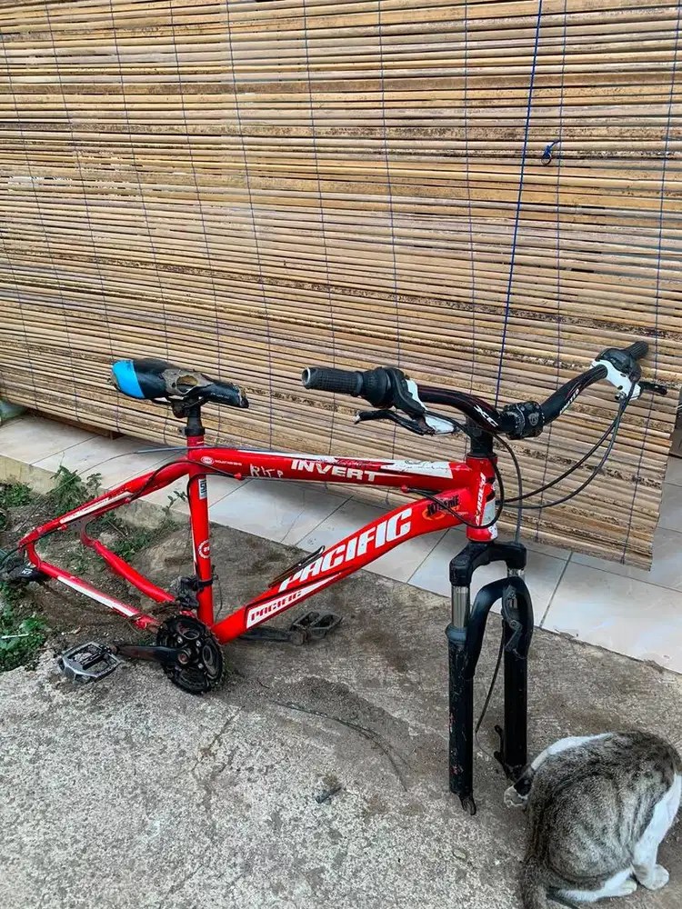 Frame sepeda pasifik