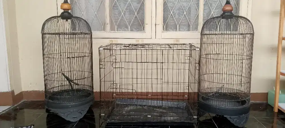 Jual kandang burung kapsul dan kandang kotak