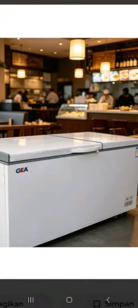freezer box 900L GEA