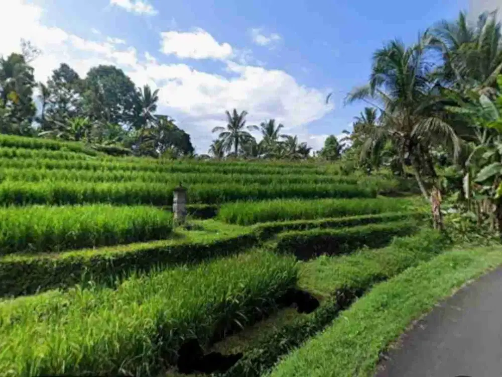Tanah view sawah dan laut di Megati Tabanan Bali