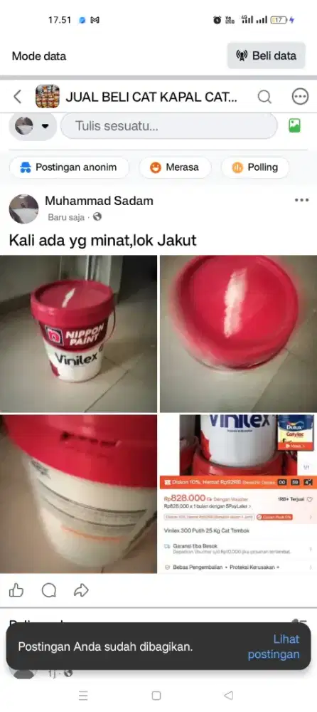 Nippon paint Vinlex 300