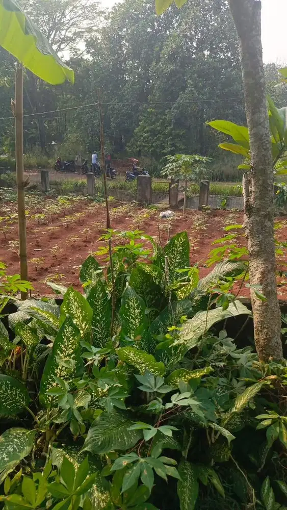 Dijual Tanah Strategis Sawangan Depok
