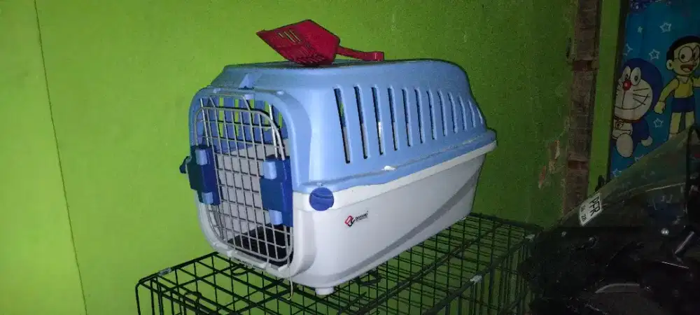 Jual pet cargo hewan