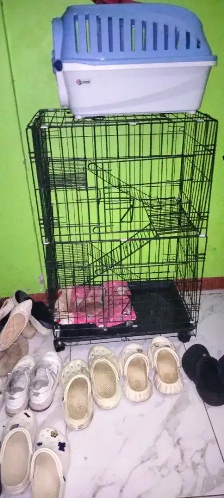 Jual kandang kucing 3 susun