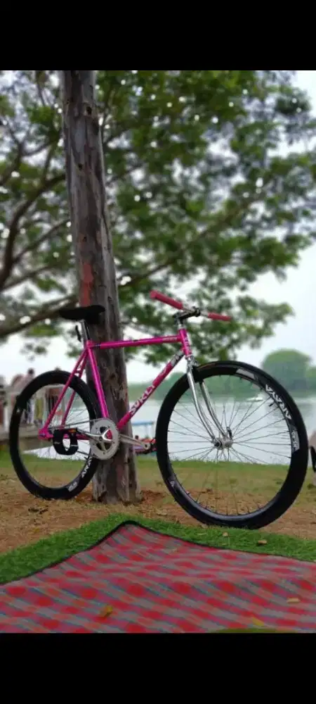 Sepeda Fixie Doltrap