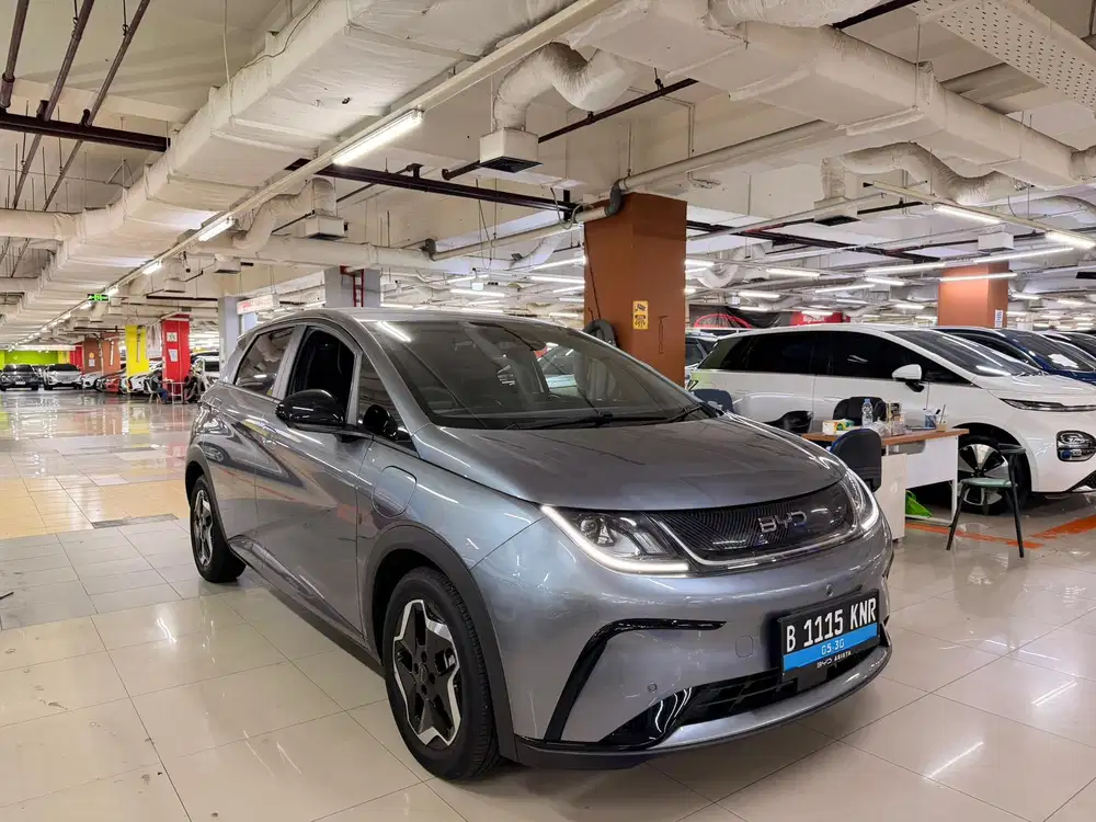 Byd Dolphin Ev 2025