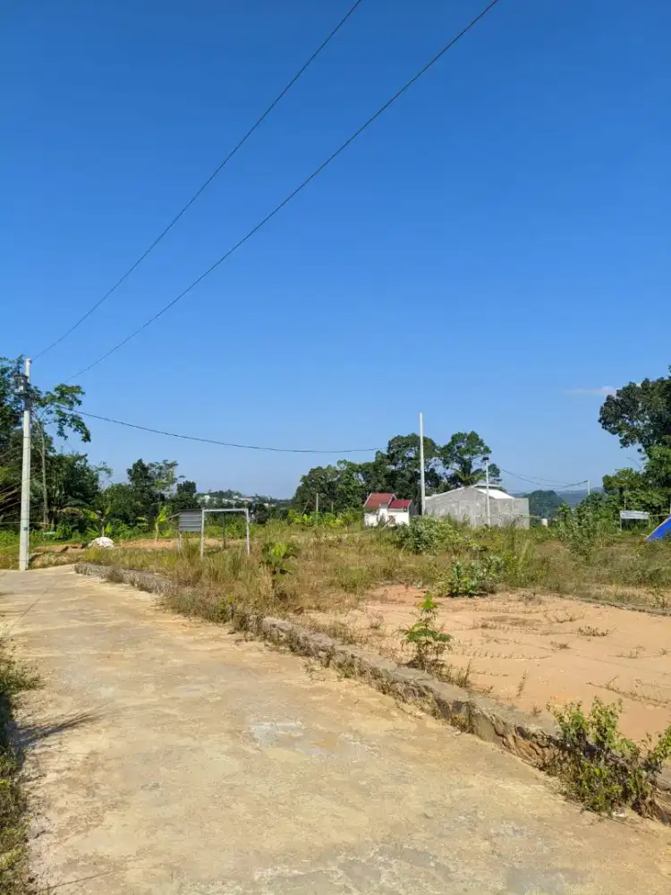 Tanah Murah view gunung ungaran di gunung Pati
