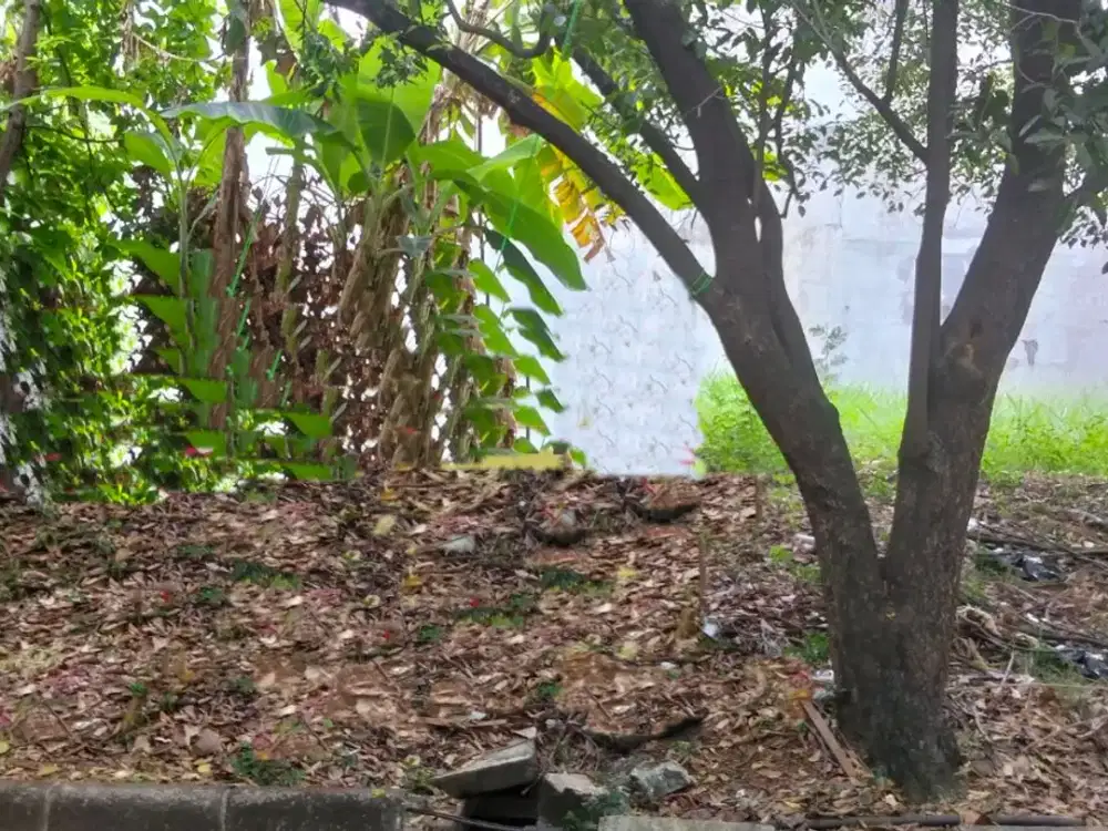 Tanah 2 Kavling di jl Niaga Hijau, Pondok Pinang