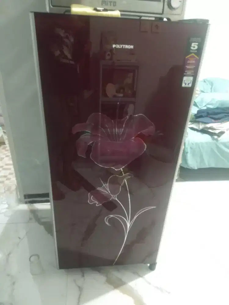 Kulkas Polytron 1 pintu