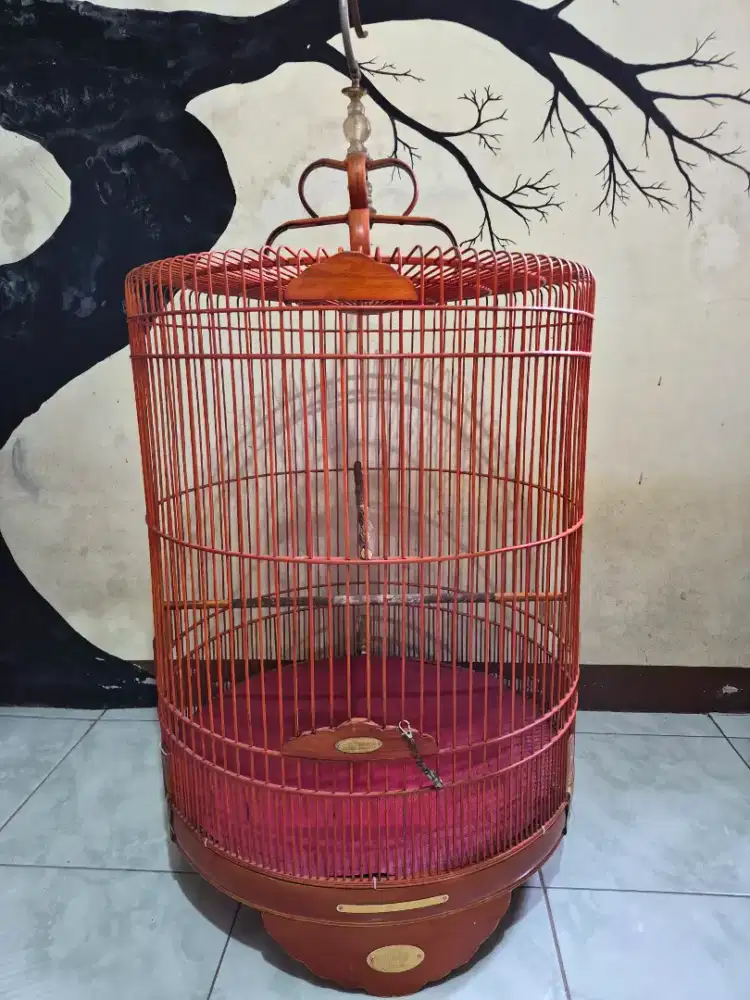 Kandang murai no 1 BNR sangkar murai BNR no1 kandang no1 murai BNR