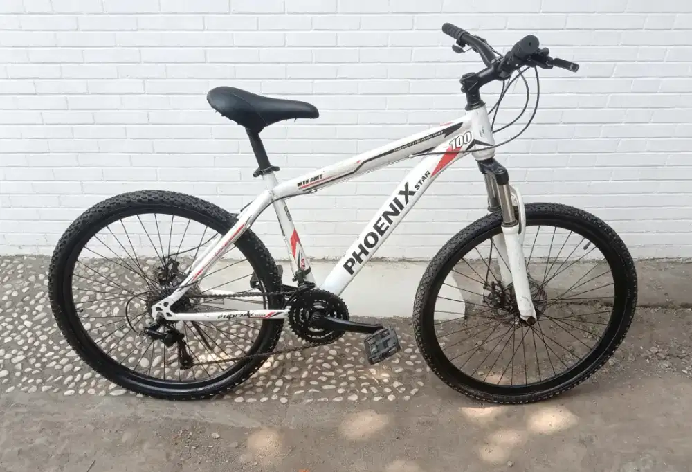 Sepeda gunung MTB bekas