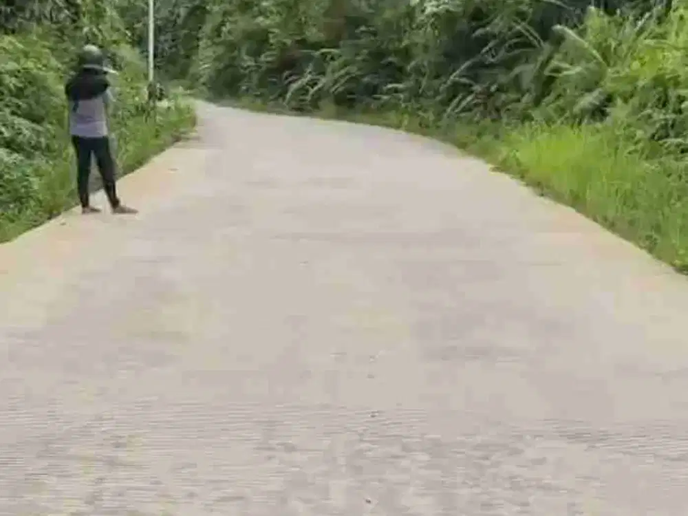 tanah kebun