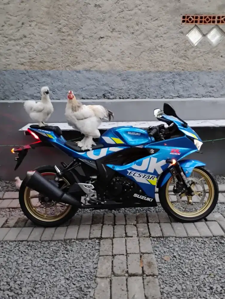 GSX R ECSTAR BIRU