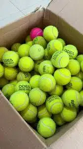 Bola padel bekas