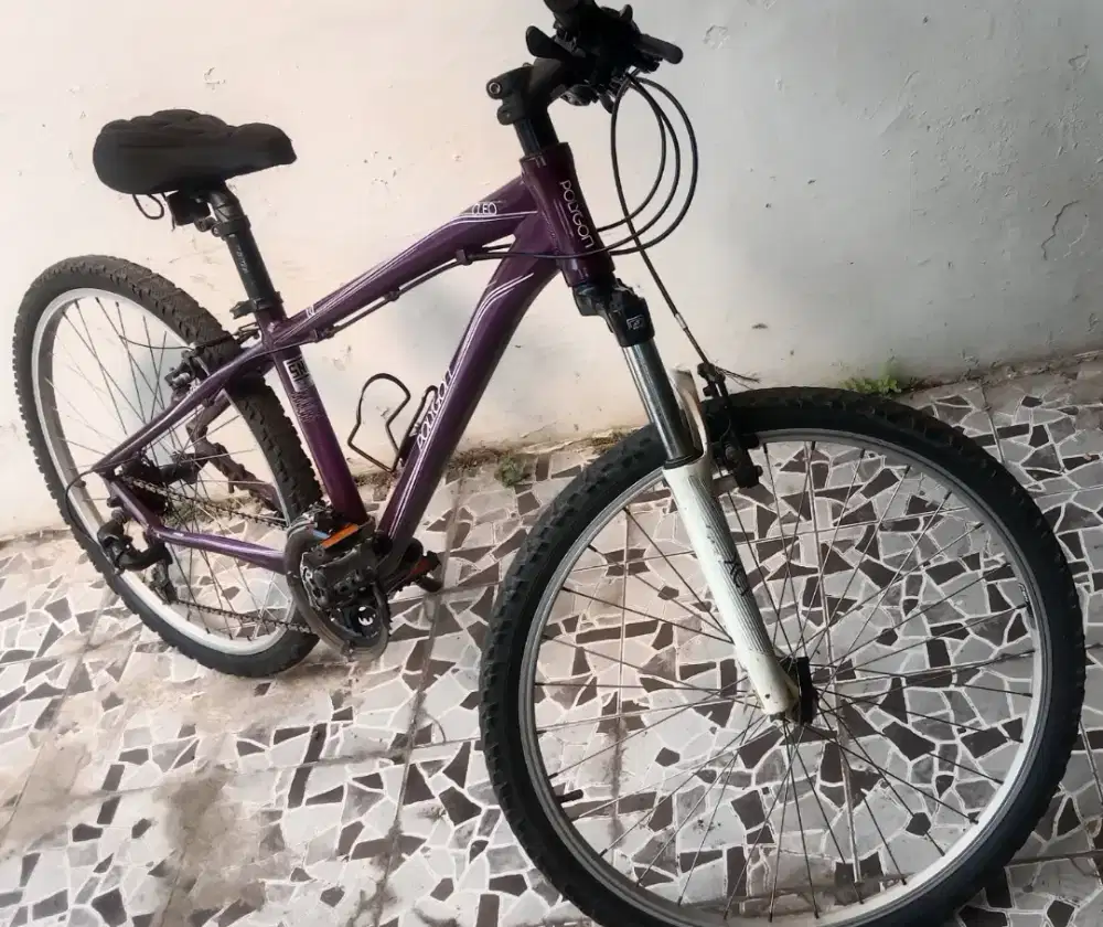 Dijual Sepeda Gunung MTB Polygon Cleo