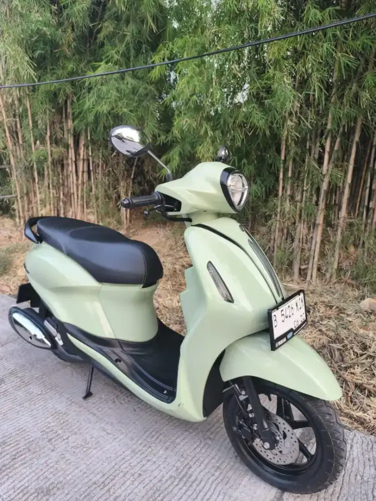 Grand Filano 2025