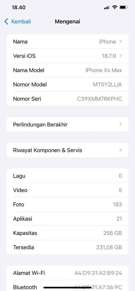 iPhone Xs Max 256 iOs 18.7.9