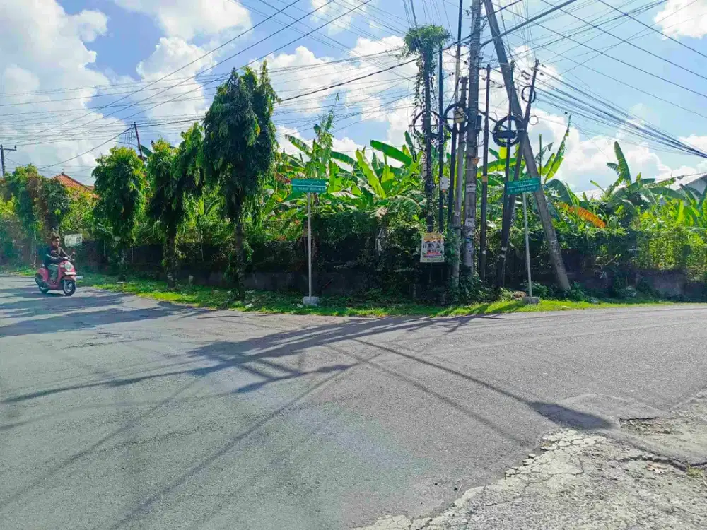 jl gunung catur gatsu barat. 11.8 are tanah di jual termurah