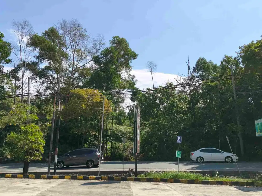 Tanah Dijual Area DOM jl. Syarifuddin Yoes