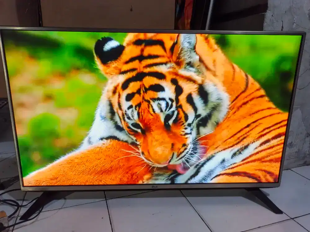 Tv LED LG 43 inch (digital)