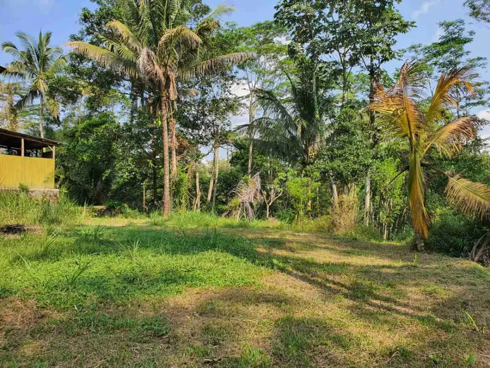 Tanah Murah View Gunung Merapi SHM Pekarangan