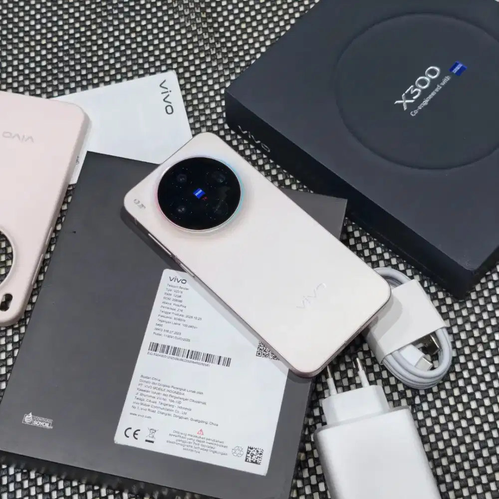 vivo x300 256GB
