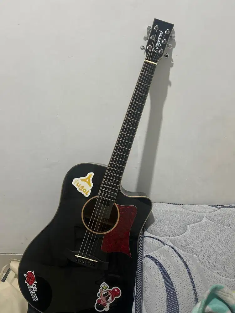 gitar tanglewood winterleaf TW 5 E BS