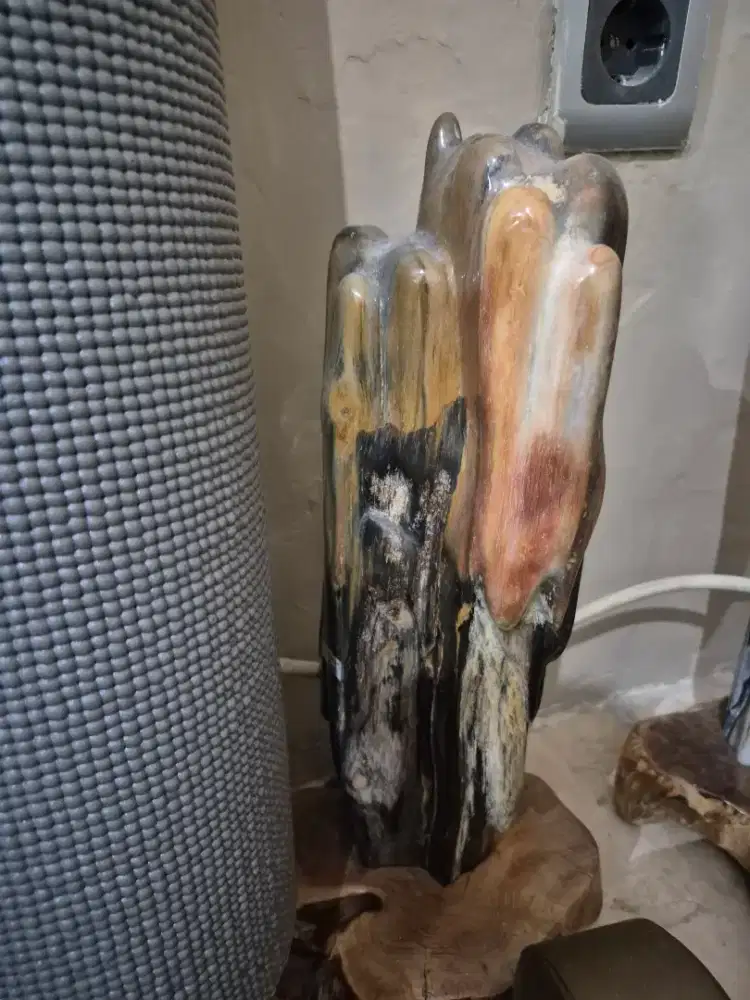 Fosil kayu bagus untuk pajangan