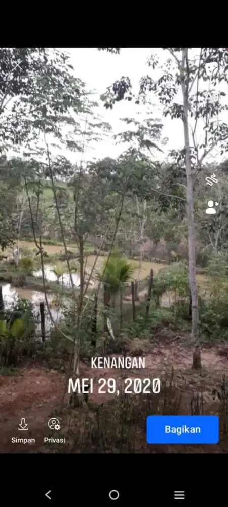 DI JUAL TANAH 5Ha KILO 23