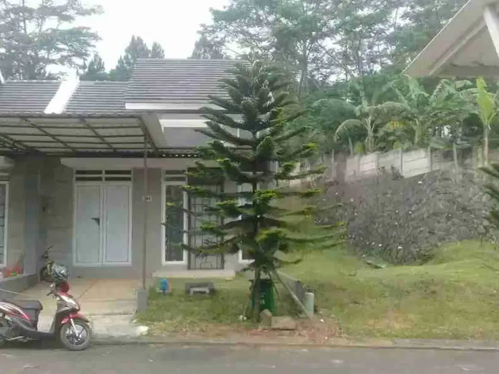 Disewakan rumah Sentul alaya