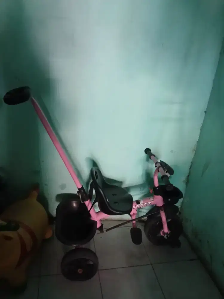 Sepeda anak perempuan masih bagus dan layak pakai