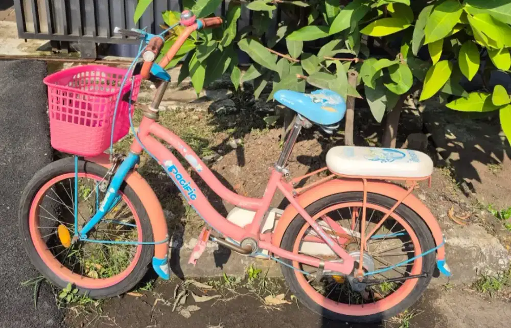 Sepeda Anak Pacific