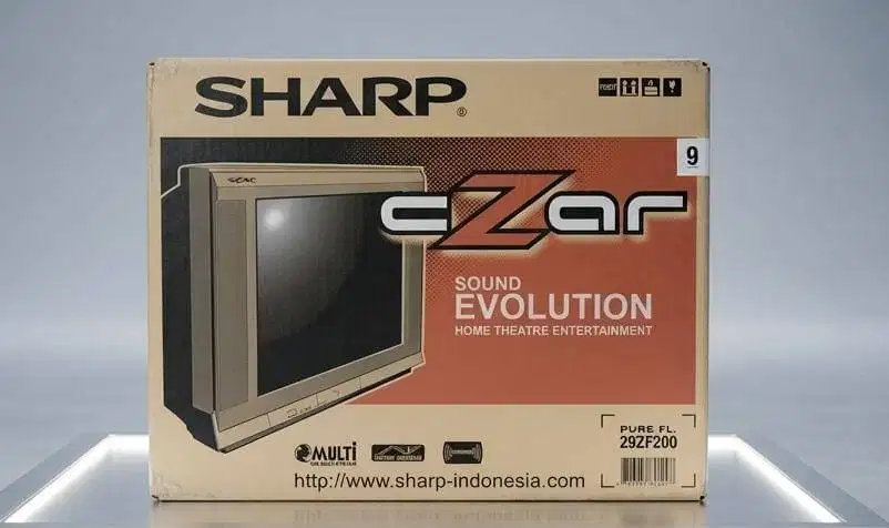 SHARP CZAR Sound Evolution 29 Pure Flat – New Old Stock Langka!