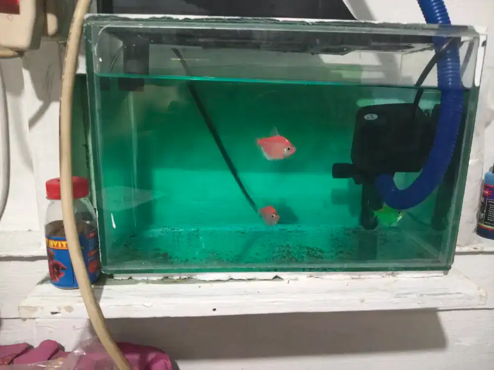 Di jual aqkurium 1 set