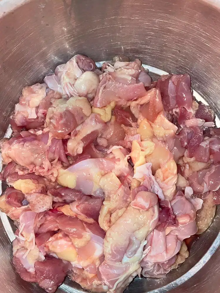 LEMAK DAGING AYAM BOILER FROZEN