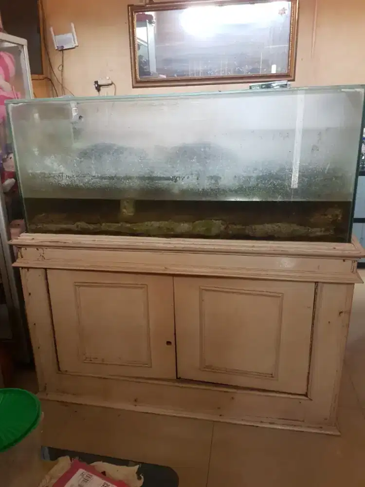 Aquarium bekas ikan laut