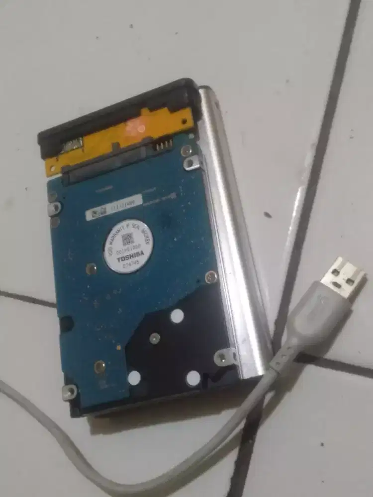 HARDISK EXTERNAL 160GB WIN 10 LAPTOP