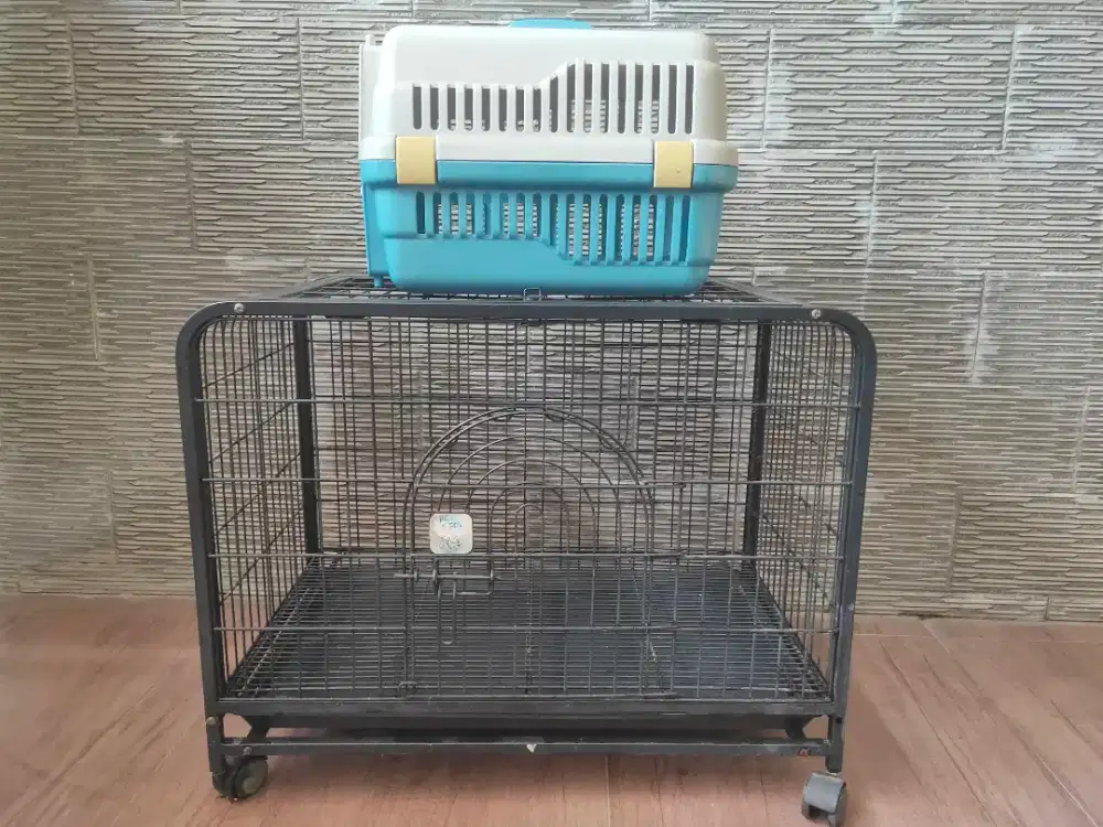 Kandang kucing dan keranjang
