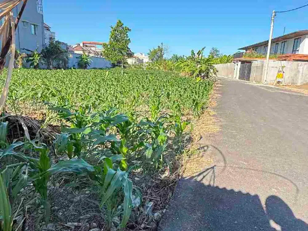 Tanah Zona Pariwisata Dekat Pantai Padang Galak Sanur