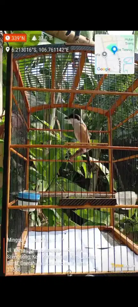 Pentet Jatim Gacor
