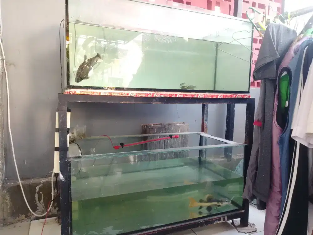 Akuarium Ikan dijual Aquarium