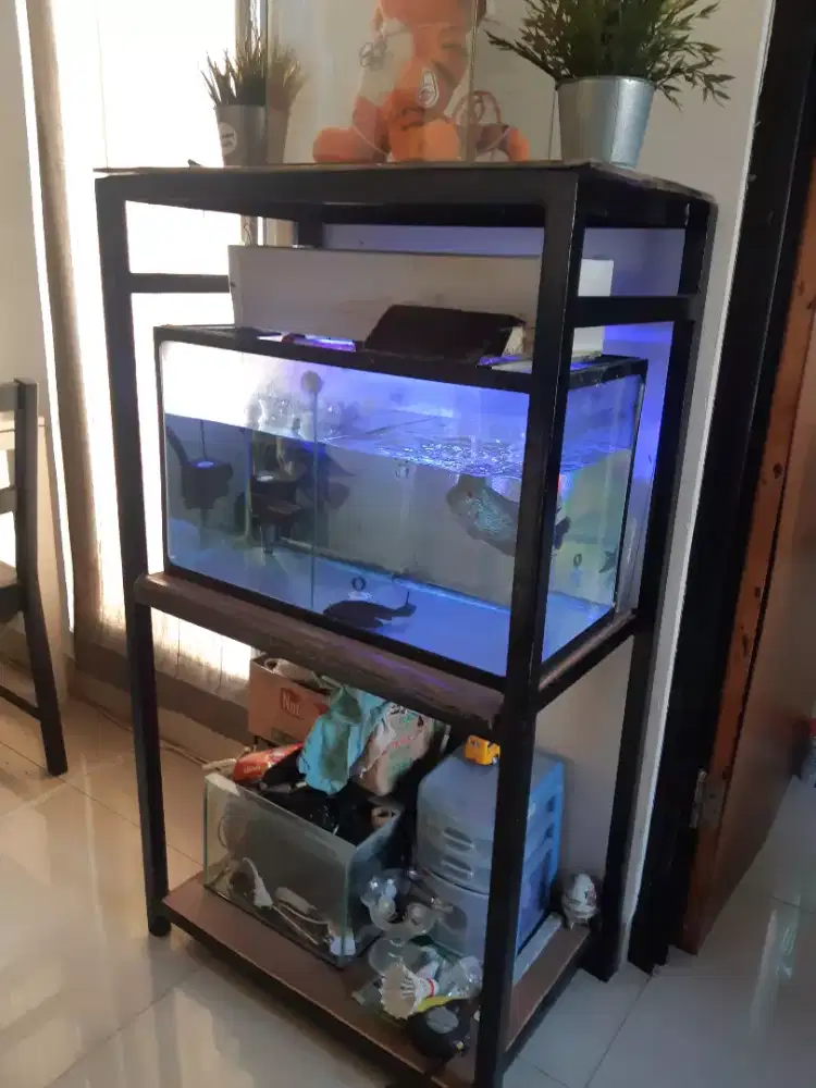 Rak aquarium+aquarium 3 biji + isinya