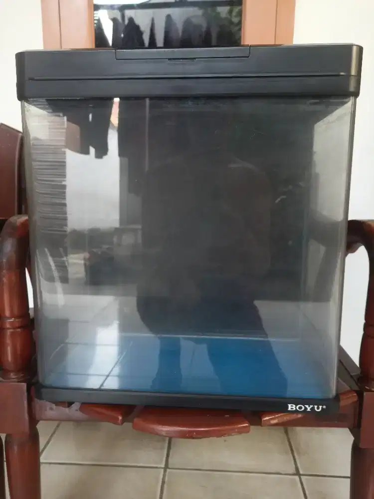 aquarium akuarium ikan bending boyu