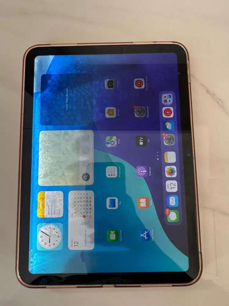 Ipad 10 Rosegold