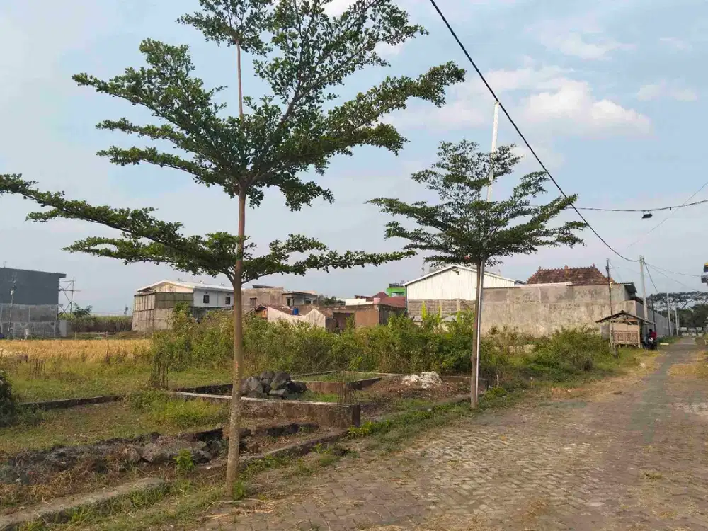 Tanah Pribadi Bamban Asrikaton Pakis Malang