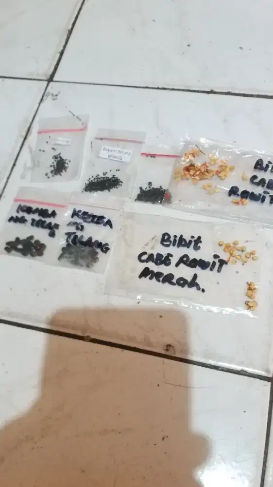 BIBIT/ Benih Pohon Telang/ Cabe Rawit Merah/Kemangi