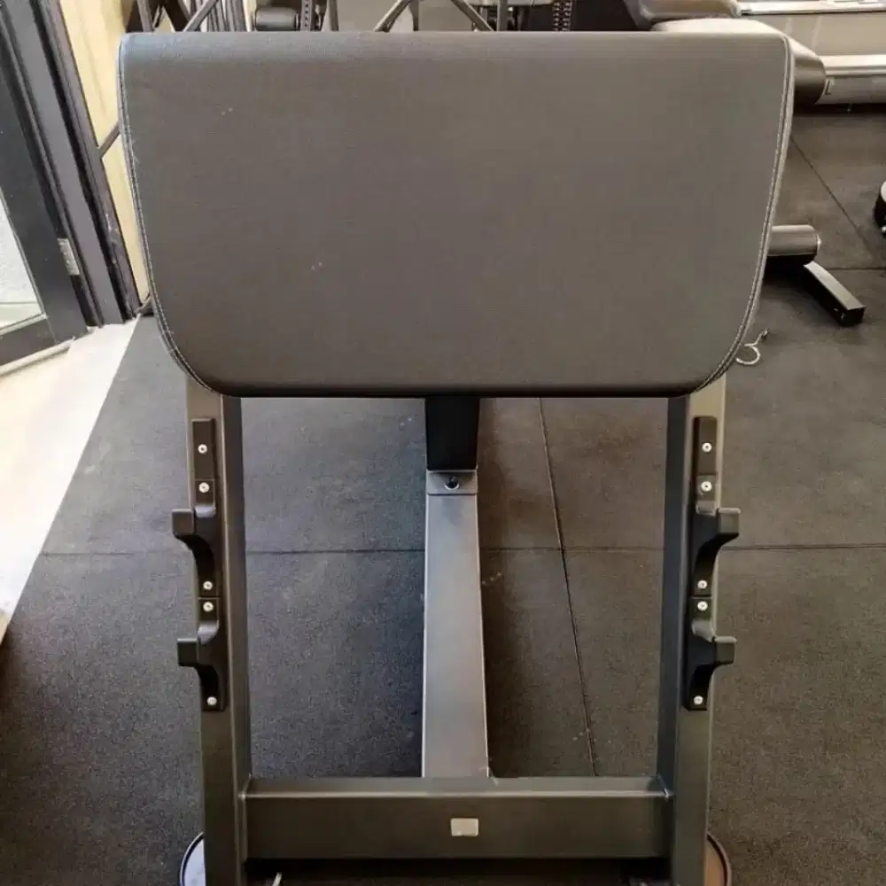 Preacher curl - dhz fitness
