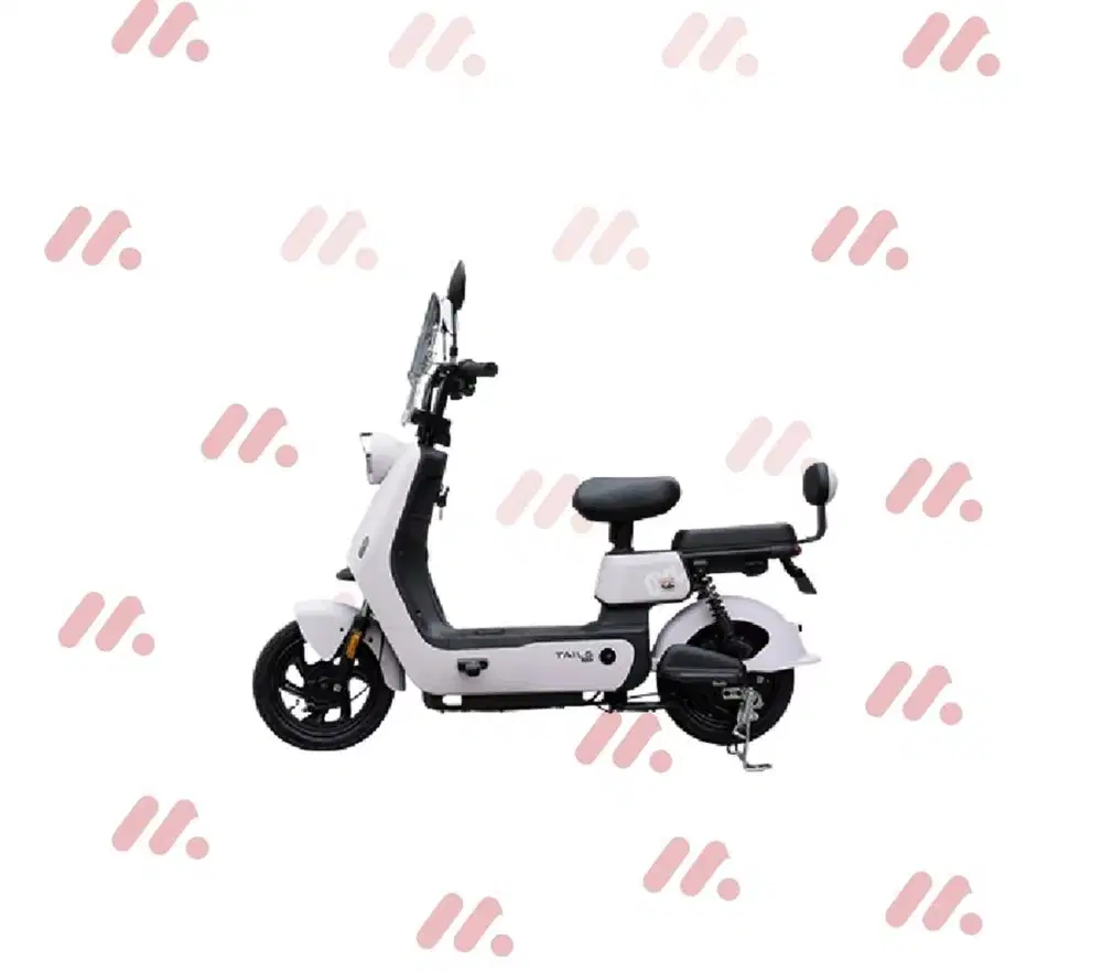 SEPEDA LISTRIK TAILG JY39