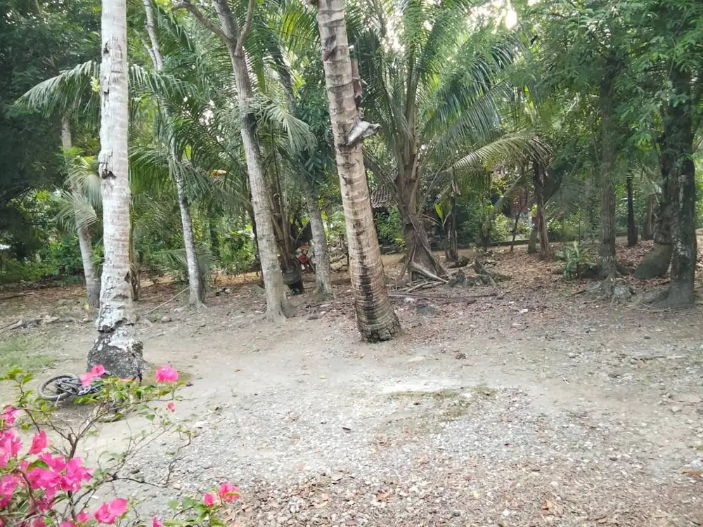 Tanah Pekarangan